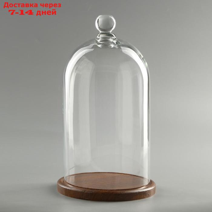 Стеклянный купол-клош с шариком на подставке "Родрик", 29х15 см, стекло, коричневый - фото 1 - id-p212675098