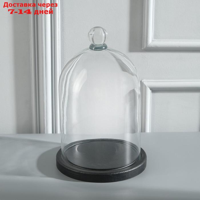 Стеклянный купол-клош с шариком на подставке "Родрик", 24х15 см, стекло, черный - фото 3 - id-p212676257