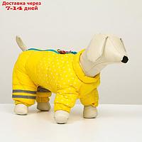 Комбинезон для собак "Горошек", размер 14 (ДС 32 см, ОГ 42 см, ОШ 31 см),жёлто-голубая