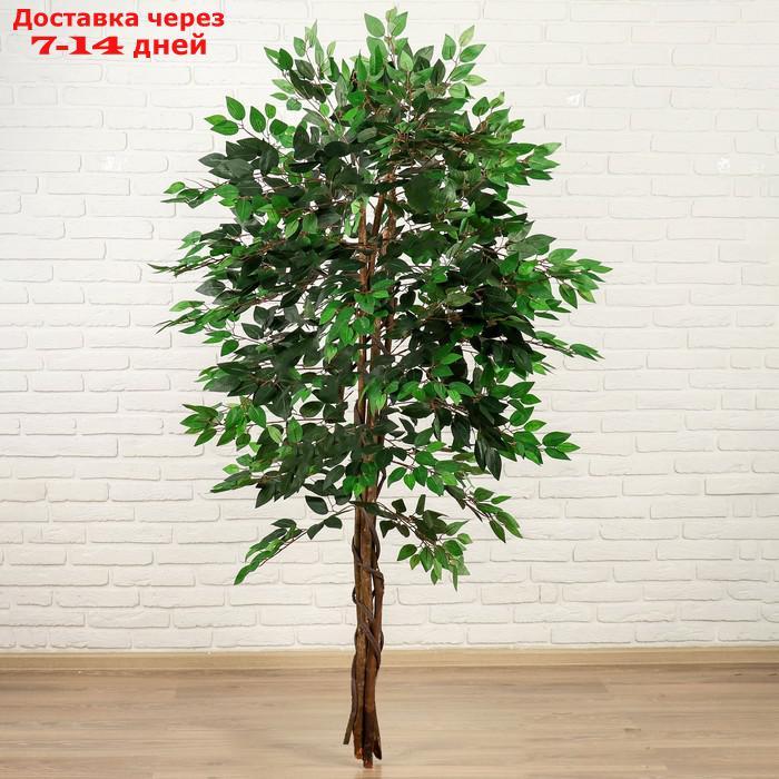 Дерево искусственное 175 см зеленый фикус - фото 1 - id-p212677713