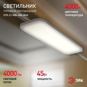 OEM Трековый светильник трехфазный ЭРА STR-31-WB-40K-W45 панель 45Вт 4000К 4000Лм белый - фото 10 - id-p212772660