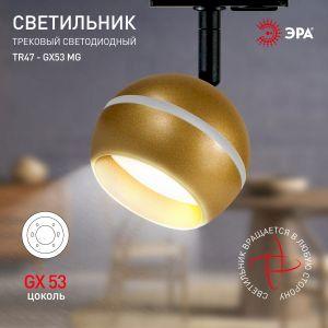 OEM Трековый светильник однофазный ЭРА TR47 - GX53 MG под лампу GX53 матовое золото - фото 5 - id-p212772678