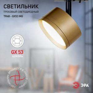 OEM Трековый светильник однофазный ЭРА TR48 - GX53 MG под лампу GX53 матовое золото - фото 6 - id-p212772681