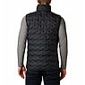 Жилет мужской Columbia пуховый Delta Ridge™ Down Vest черный 1916061-010, фото 3