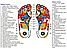 Массажный коврик для ног EMS Foot Massager 8 режимов 19 скоростей / Миостимулятор для стоп режимов USB, фото 5