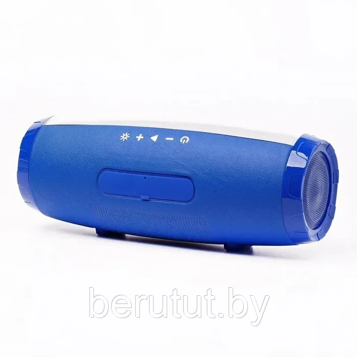 Колонка музыкальная портативная Bluetooth TG-165C - фото 4 - id-p212982483