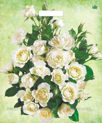 Мешок подарочный с ручками "Белые розы" 45х38 см, 60 мкм. - фото 1 - id-p199900357