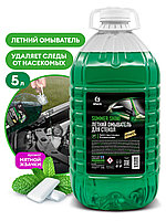 Стеклоомывающая жидкость Summer Shine (канистра 5л