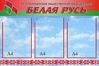 527 Белая Русь