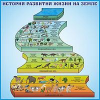 359 Стенд по биологии, биология, история развития жизни на земле