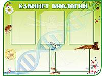 638 Стенд по биологии, биология