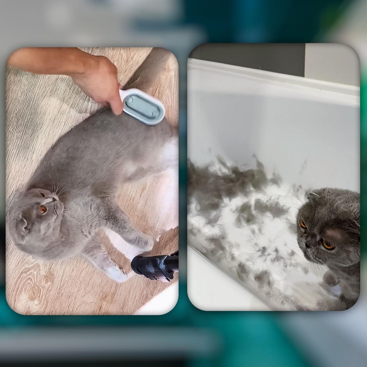 SPA расческа для кошек и собак Pet cleaning hair removal comb 3 в 1 (чистка, расческа, массаж), фурминатор - фото 6 - id-p213162266