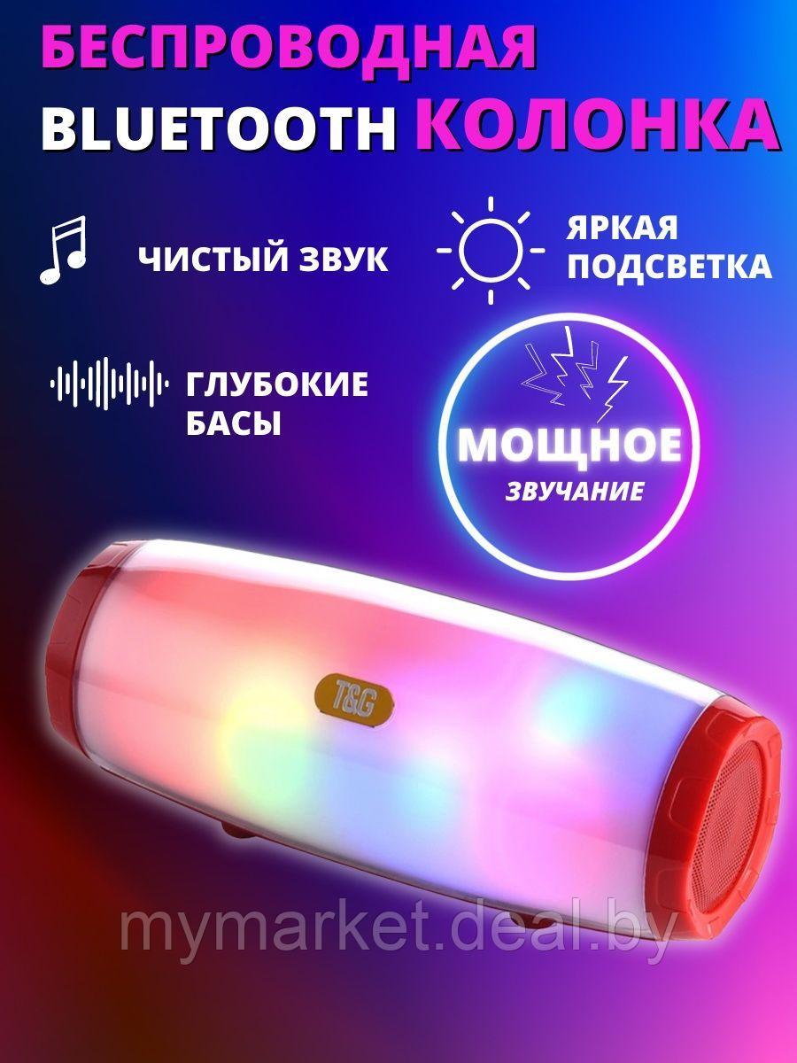 Колонка музыкальная портативная Bluetooth TG-165C - фото 1 - id-p213162545