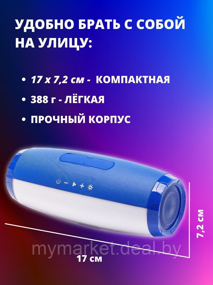 Колонка музыкальная портативная Bluetooth TG-165C - фото 6 - id-p213162545