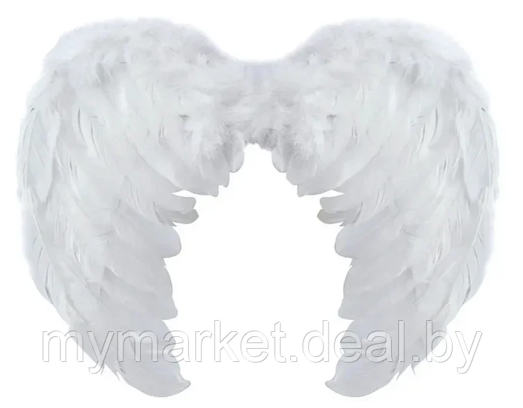 Крылья ангела из перьев натуральные белые 60*40 см - фото 2 - id-p213162363