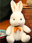 Детская мягкая игрушка антистресс, плюшевый зайка с морковкой 30см, мягкие игрушки кролики обнимашки для детей, фото 4