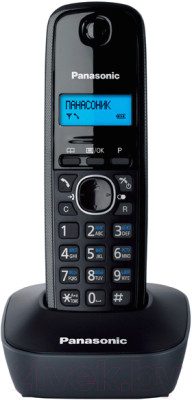 Беспроводной телефон Panasonic KX-TG1611H - фото 1 - id-p213175076