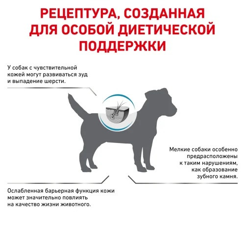 Royal Canin Skin Care Small Dogs, 2 кг - фото 4 - id-p213192180