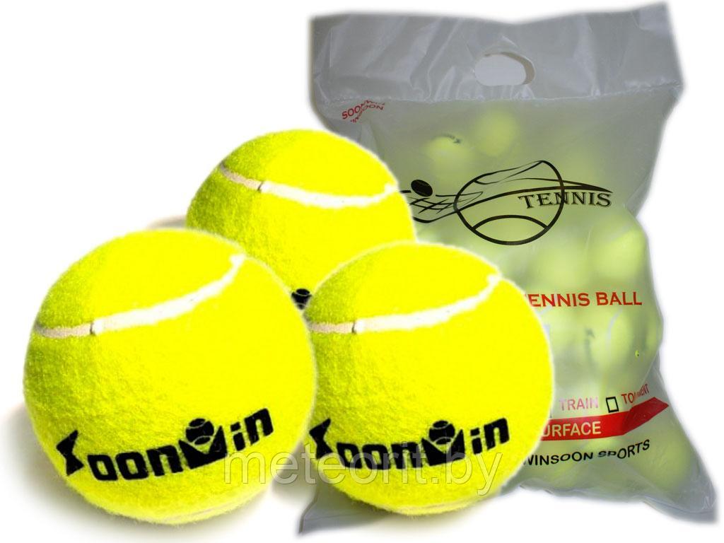 Мяч для тенниса (большой теннис)