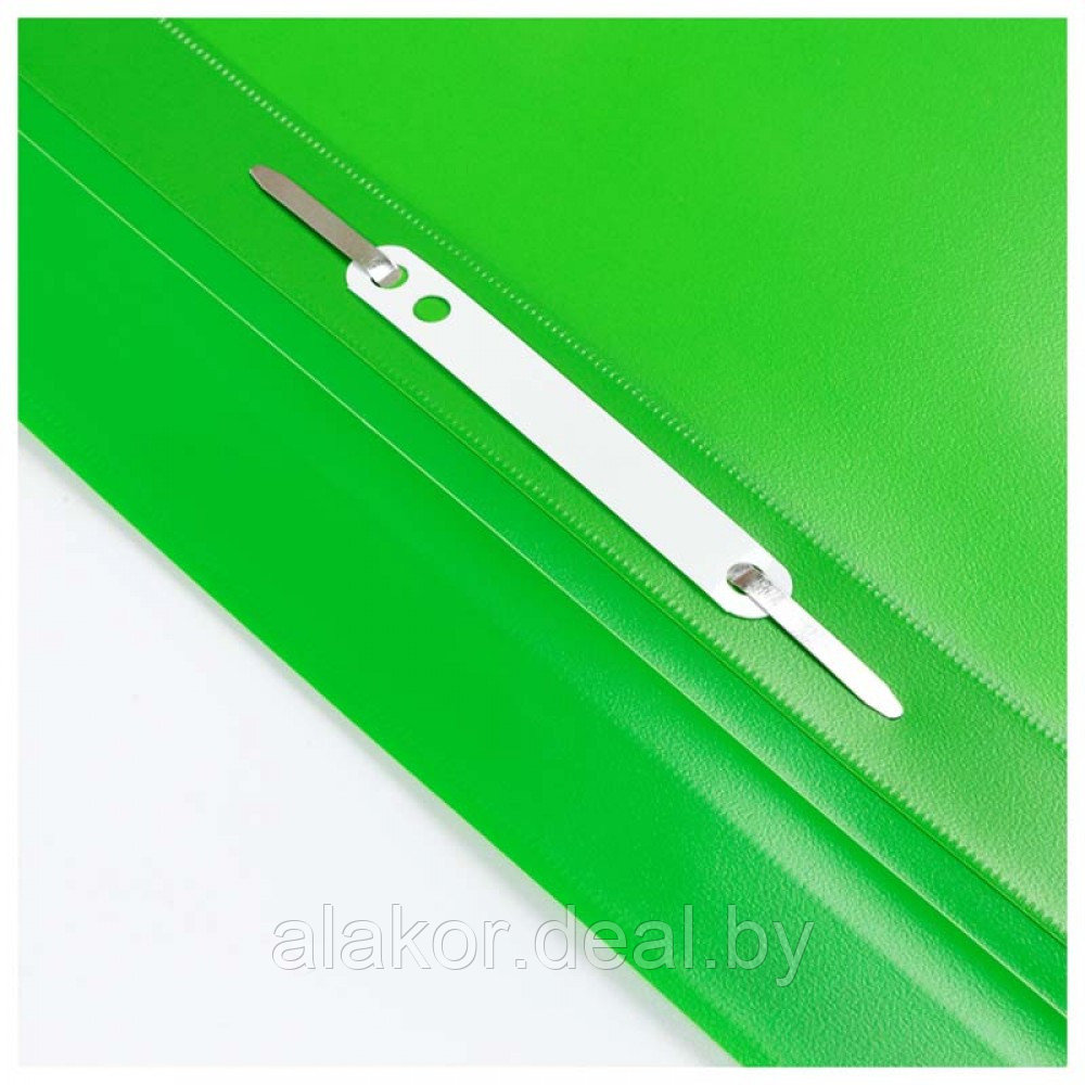 Папка-скоросшиватель А4, прозрачным верхом Berlingo, 25мм, 100 листов, полипропипен, зеленый - фото 2 - id-p213216183