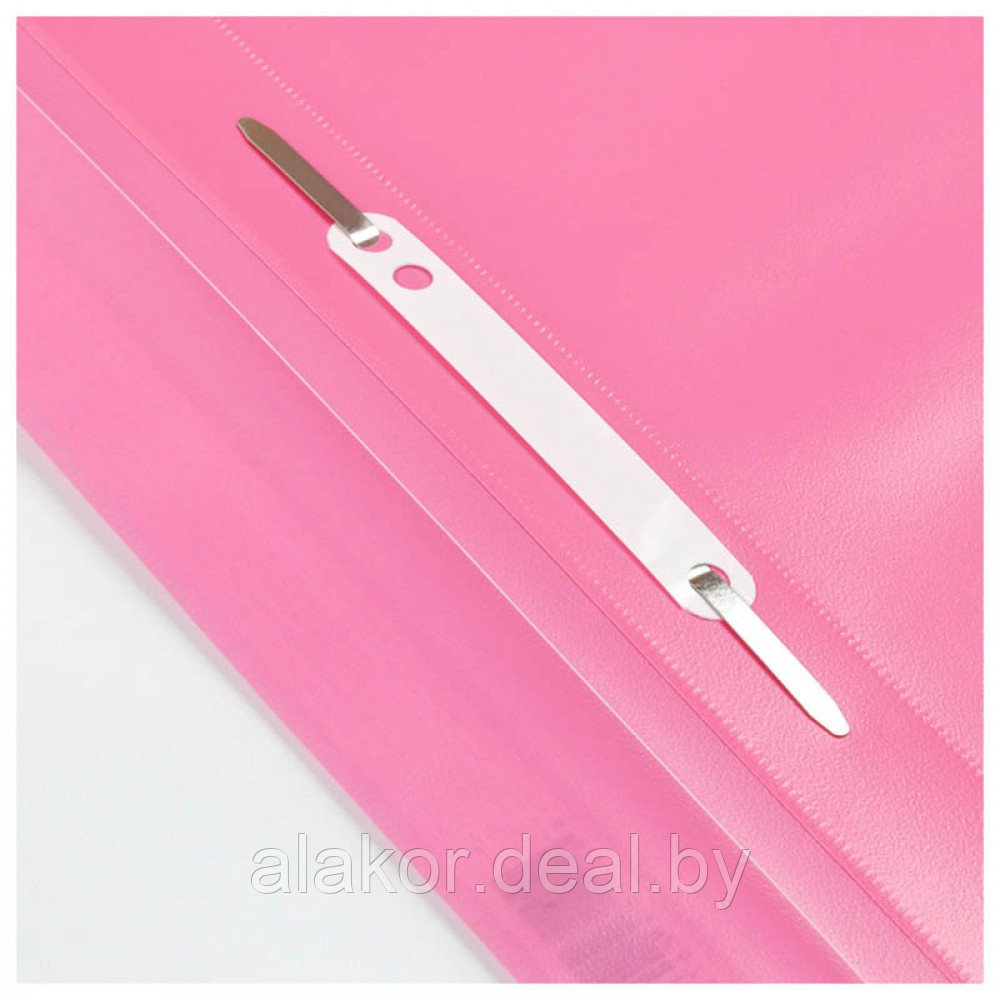 Папка-скоросшиватель А4, прозрачным верхом Berlingo, 25мм, 100 листов, полипропипен, розовый - фото 2 - id-p213217018