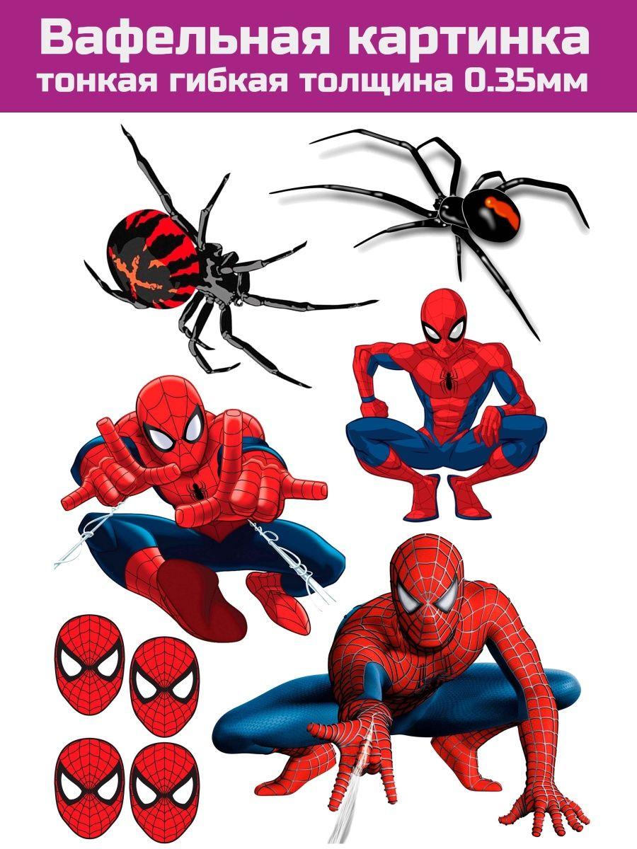 Вафельная печать на торт Человека паука Spider Man - фото 1 - id-p213214996