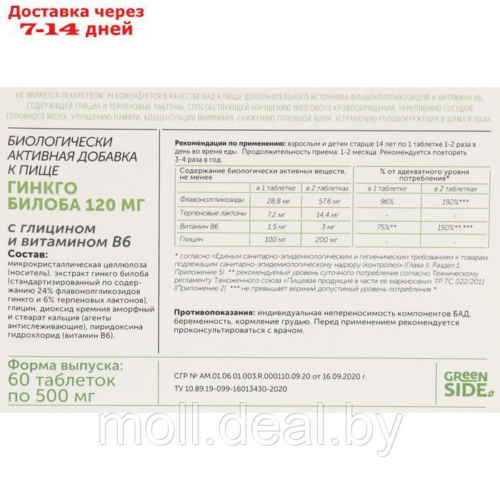 Гинкго билоба 120 мг с глицином и витамином В6, 60 таблетки, 500 мг - фото 2 - id-p213192905