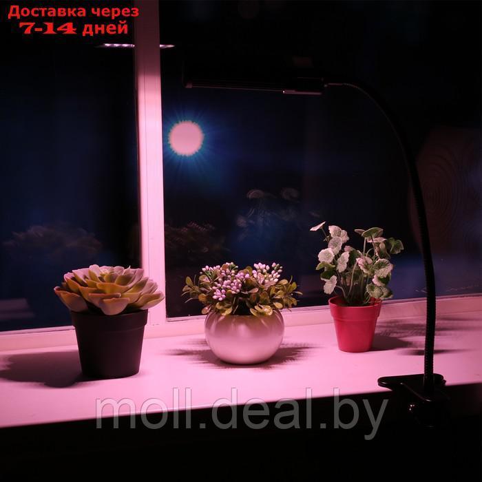 Фитосветильник светодиодный Uniel, 12 Вт, на прищепке, для фотосинтеза, IP40 - фото 2 - id-p213191547