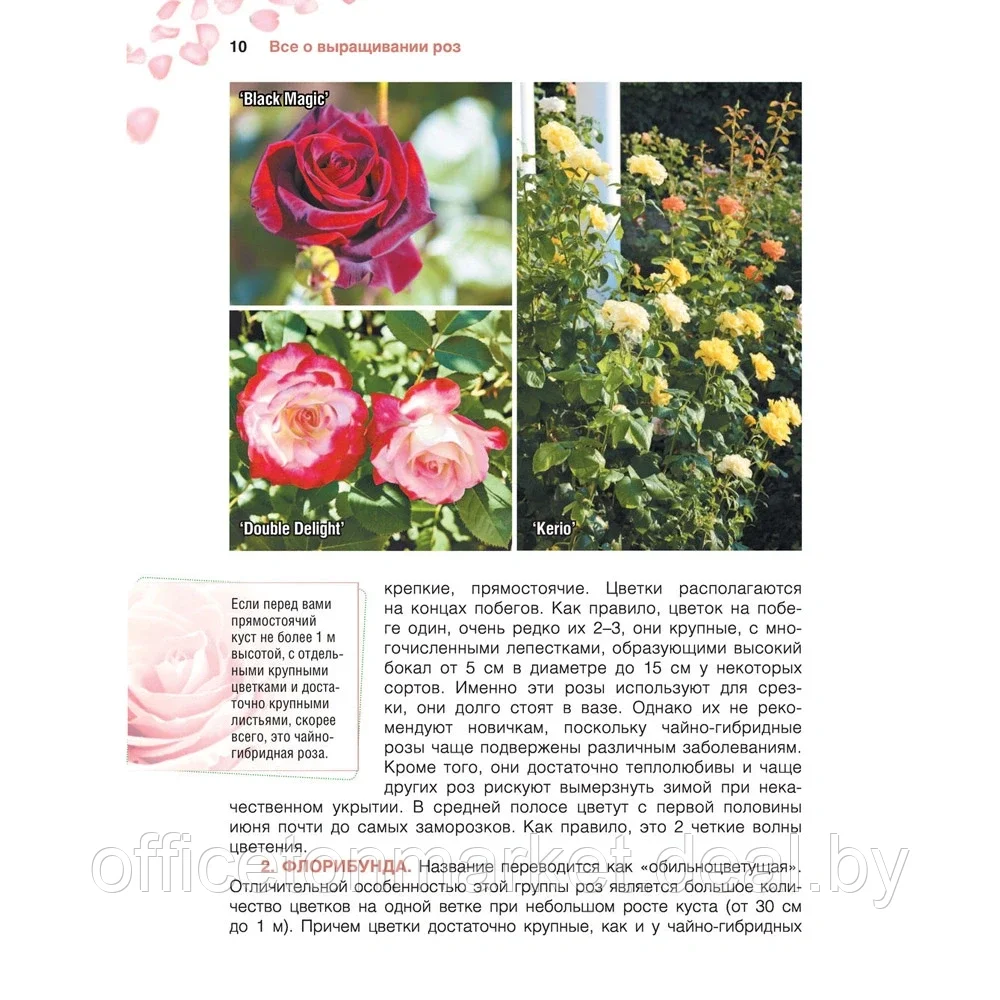Книга "Сад любимых цветов с Ларисой Кочелаевой", Лариса Кочелаева - фото 9 - id-p204728051