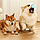 Интерактивная игрушка мяч для кошек и собак, фото 3