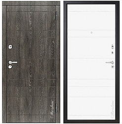 Двери металлические металюкс М350/6