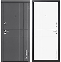 Двери металлические металюкс М351/4 Е5