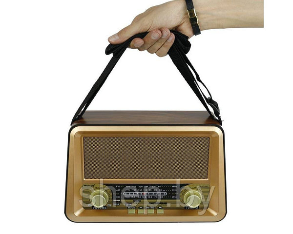 Радиоприемник GOLON RX-BT1006 (пульт ДУ, USB ): продажа, цена в Минске.  Радиоприемники от "SHEP.BY" - 213278875