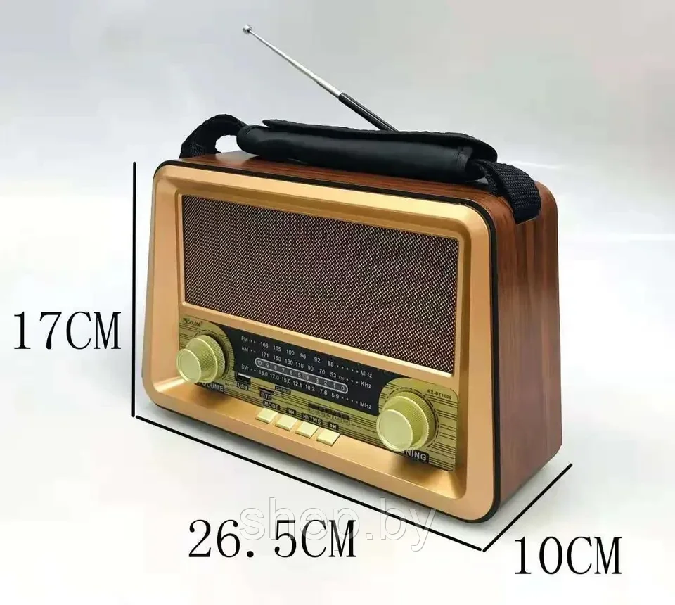 Радиоприемник GOLON RX-BT1006 (пульт ДУ, USB ) - фото 2 - id-p213278875
