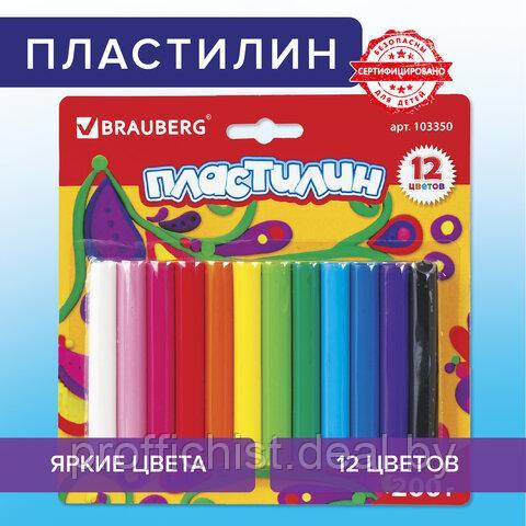 Пластилин классический BRAUBERG 12 цветов, 200 г, ВЫСШЕЕ КАЧЕСТВО, блистер ЦЕНА БЕЗ НДС! - фото 1 - id-p213279893