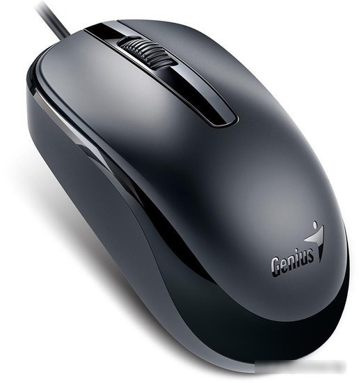Мышь Genius DX-120 (черный) - фото 2 - id-p213226072