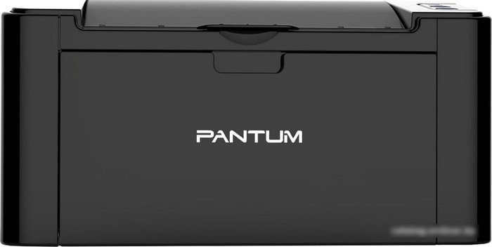 Принтер Pantum P2500NW - фото 1 - id-p213224135