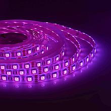 00-12 Светодиодная лента 12В, СТ, 14,4Вт/м, smd5050,
60д/м, IP65, 700Лм/м, 10мм, RGB