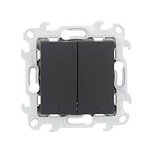 2450392-038 Двухклавишный выключатель с подсветкой
10AX 250В~ цвета графит Harmonie