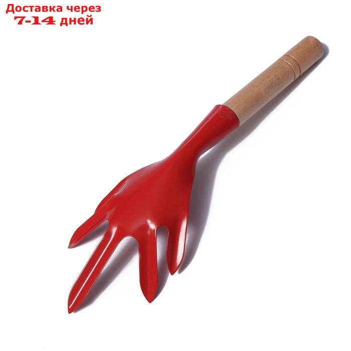Набор садового инструмента, 3 предмета: совок, рыхлитель, вилка, длина 28 см, деревянные ручки - фото 4 - id-p213285403