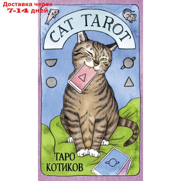 Cat Tarot. Таро Котиков (78 карт и руководство в подарочном футляре). Линн Котт Меган - фото 1 - id-p213287763