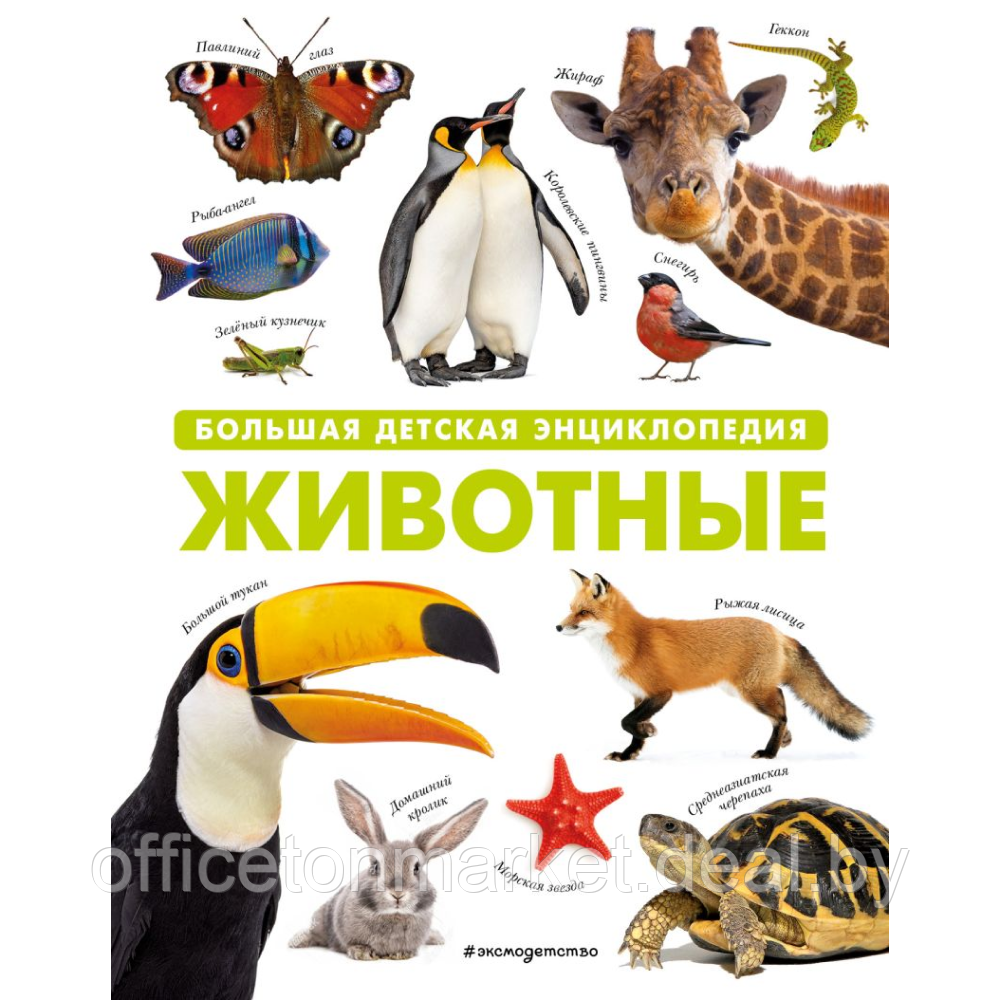 Книга "Животные. Большая детская энциклопедия" - фото 1 - id-p211366766