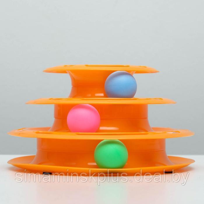 Игровой комплекс "Пижон" для кошек с 3 шариками, 24,5 х 24,5 х 13 см, оранжевый - фото 2 - id-p213427370