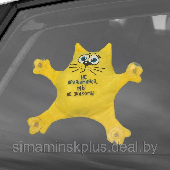 Автоигрушка «Не прижимайся, мы не знакомы», кот, на присосках - фото 2 - id-p213429064