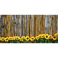 Фотосетка, 314 × 155 см, с фотопечатью, люверсы шаг 0.3 м, «Бамбуковый забор и подсолнухи»