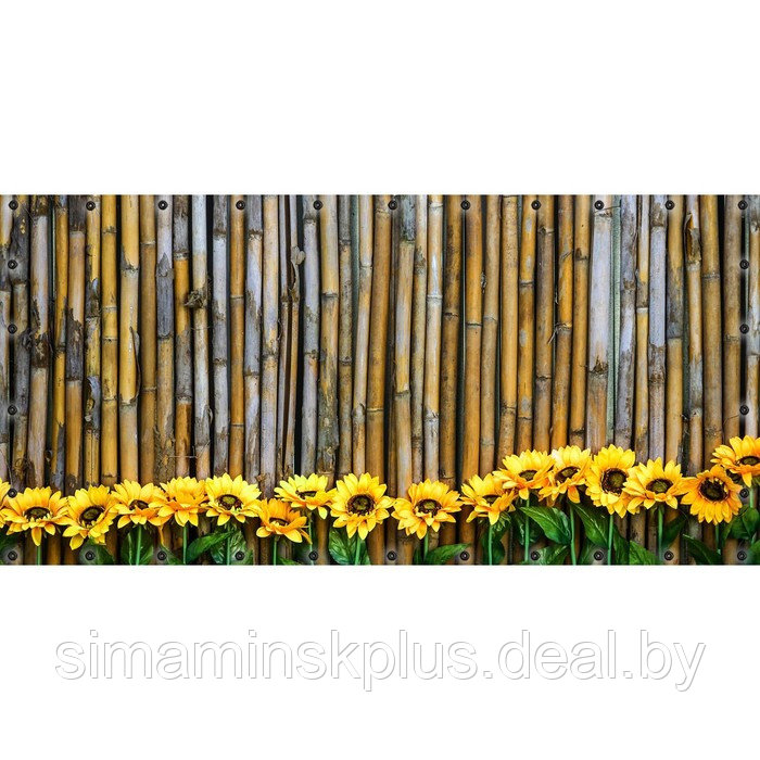 Фотосетка, 314 × 155 см, с фотопечатью, люверсы шаг 0.3 м, «Бамбуковый забор и подсолнухи» - фото 1 - id-p213430617