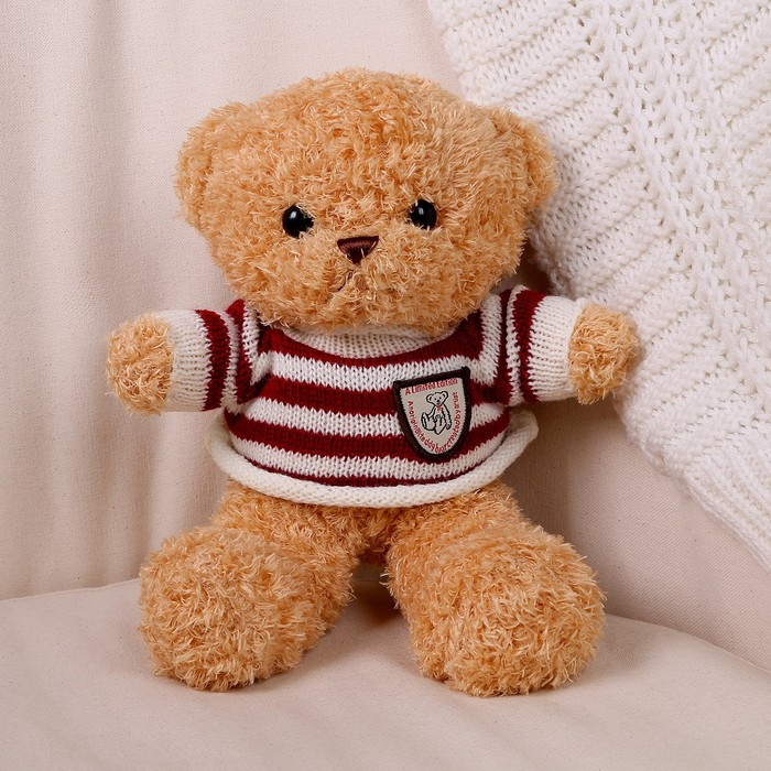 Мягкая игрушка «Медведь» в кофте, 28 см, цвет бежевый - фото 1 - id-p213428100