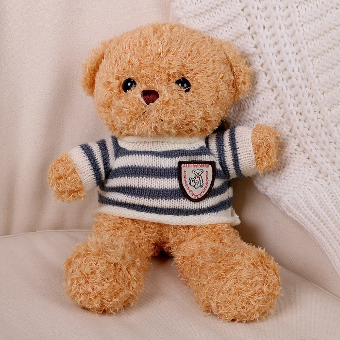 Мягкая игрушка «Медведь» в кофте, 28 см, цвет бежевый - фото 4 - id-p213428100