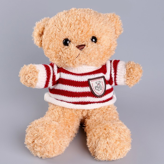Мягкая игрушка «Медведь» в кофте, 28 см, цвет бежевый - фото 6 - id-p213428100