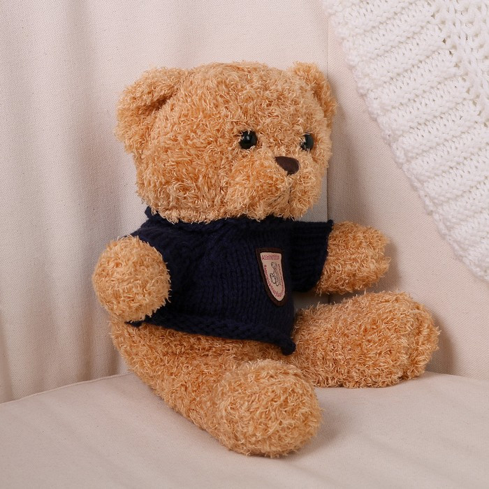 Мягкая игрушка «Медведь» в кофте, 28 см, цвет МИКС - фото 2 - id-p213428104